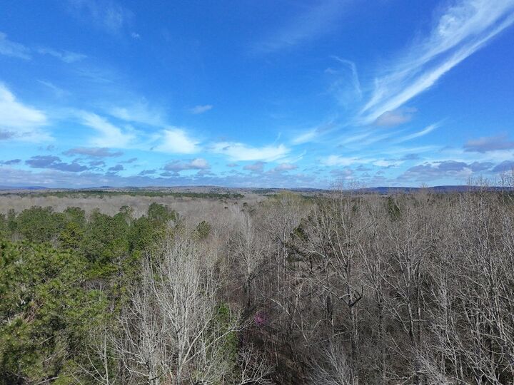 Property Photo:  21 Acres Ga Highway 0085  GA 31831 