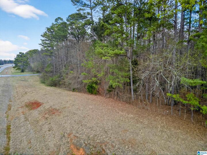 Property Photo:  0 Alabama Highway 21 0  AL 36265 