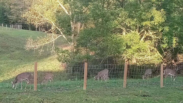 Property Photo:  18406 Stanaford Rd  WV 25831 