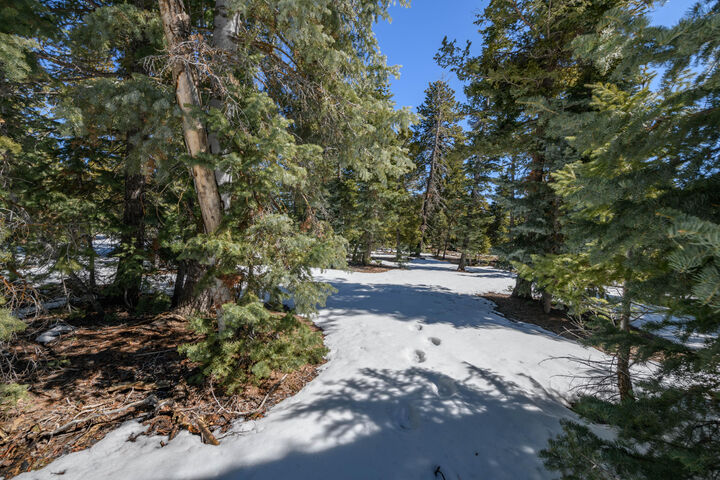 Property Photo: 1485 Flintlock Cir UT 84762