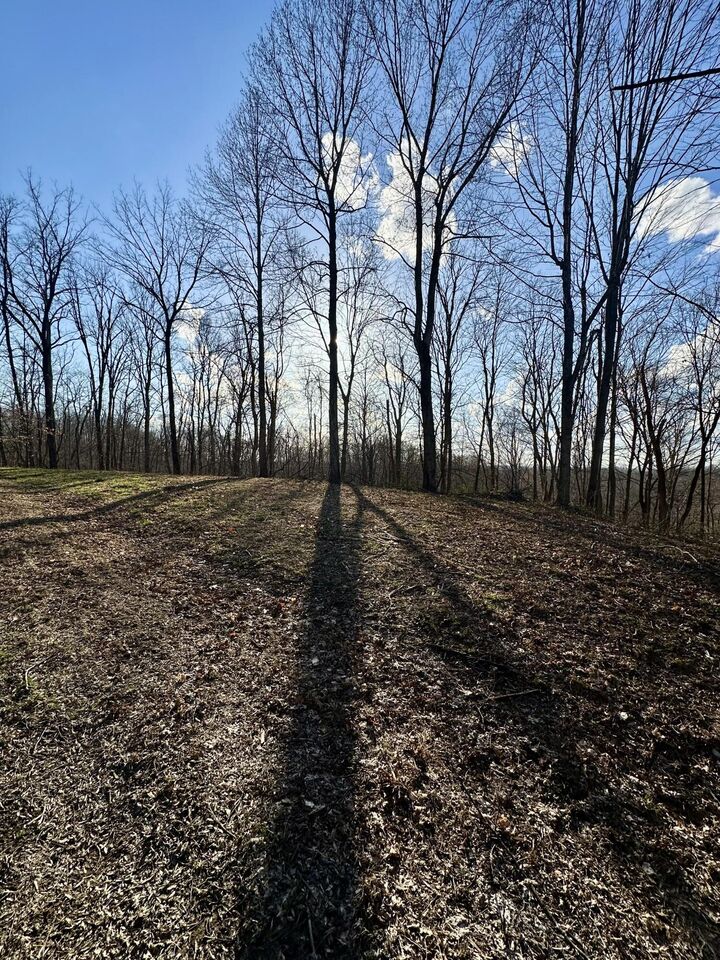 Property Photo: 2 Malone Ridge Road 2 KY 42602