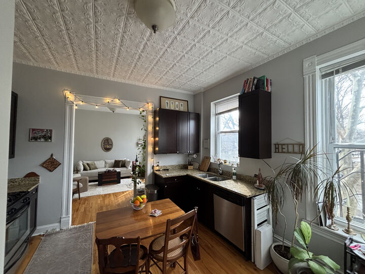 Property Photo:  1259 W Fry Street 2S  IL 60642 