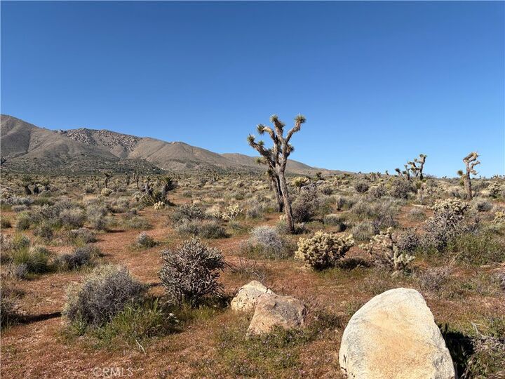 Property Photo:  0 Willow Wells Ave  CA 92356 