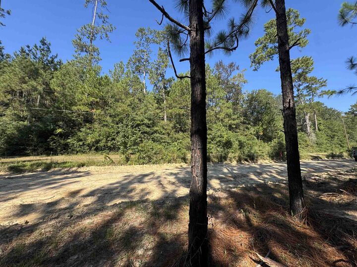 Property Photo:  Cr 3072 &Amp Cr 3075  TX 75956 