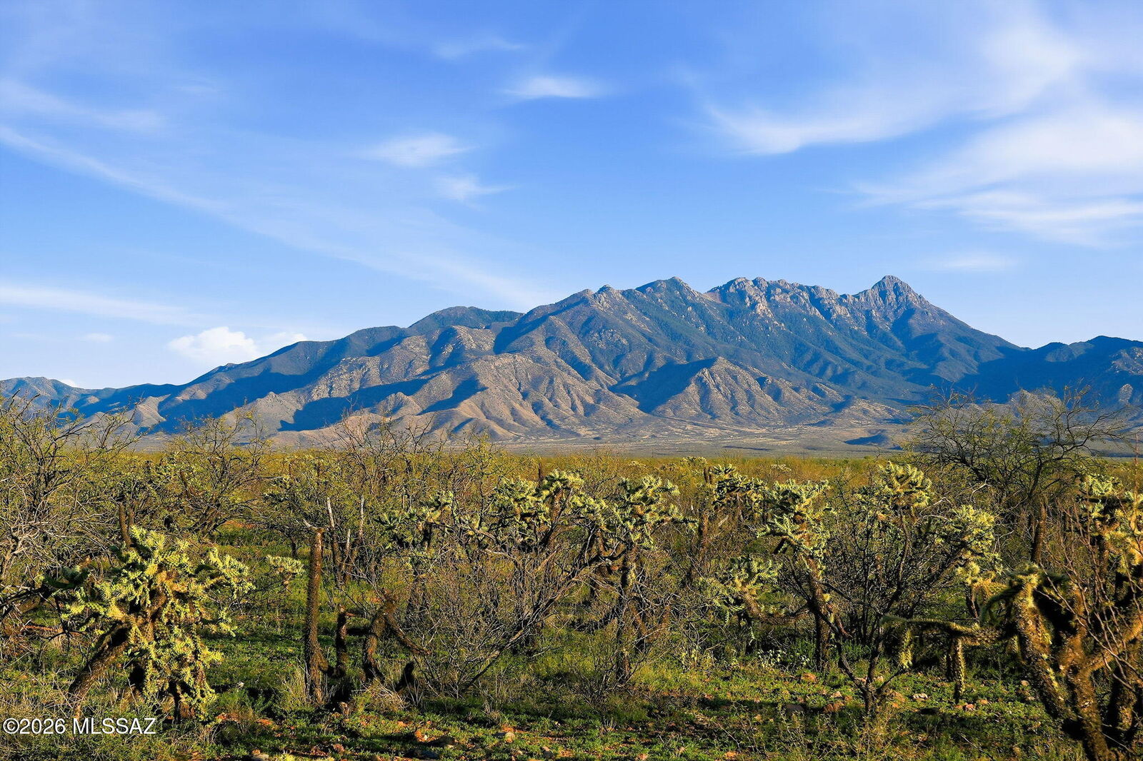 Property Photo:  657 E Canyon Rock Road 47  AZ 85614 