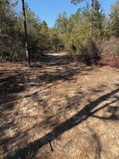 Property Photo:  Tbd Clearwater Drive Lots 50 &Amp 51  FL 32433 