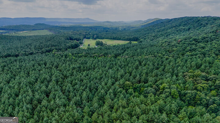 Property Photo:  Tract 5 Back Valley Road  GA 30730 