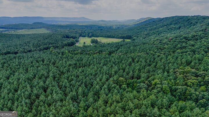 Property Photo:  0 Tract 5 Back Valley Road  GA 30730 