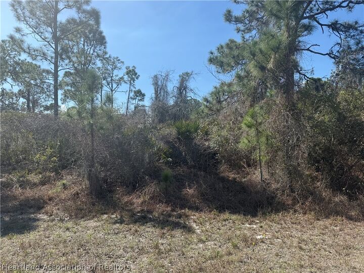 Property Photo:  842 Durmon Avenue  FL 33852 