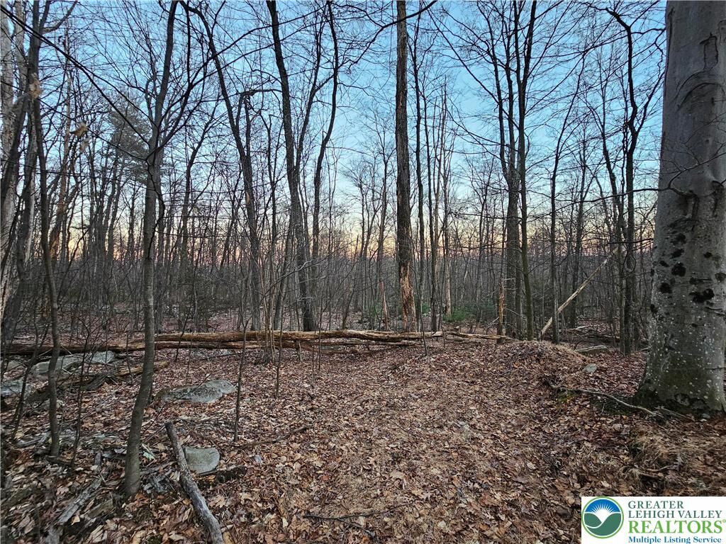 Property Photo:  8313 Sacks Drive  PA 18066 