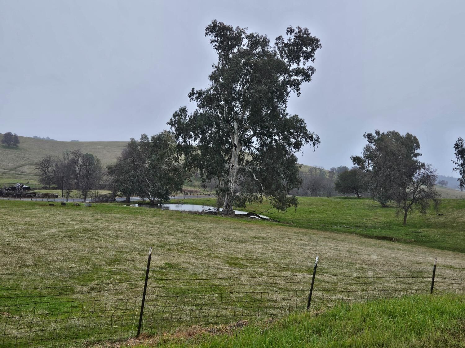Property Photo:  0 Lime Creek Rd & Hwy 12  CA 95252 