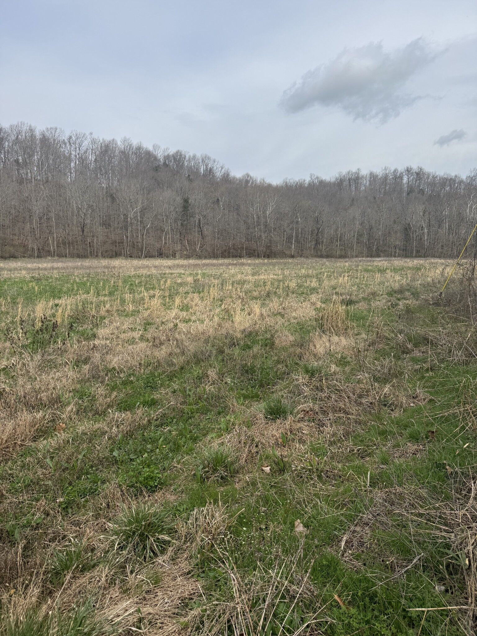 Property Photo:  1234 Puncheon Creek Road  TN 37083 