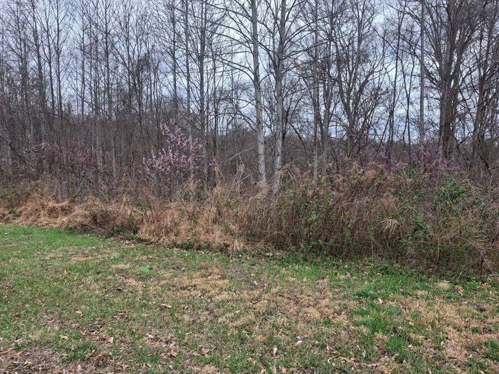 Property Photo:  0 Hunters Landing Ln  TN 37166 