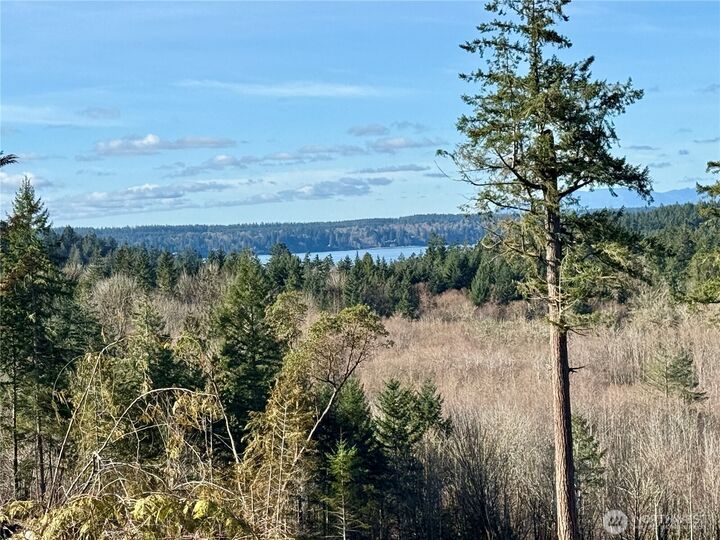 Property Photo:  4223  183rd Avenue Ct SW  WA 98351 
