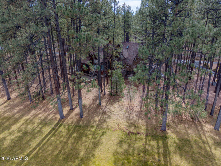 Property Photo:  2912 Woodpecker Lane  AZ 85935 