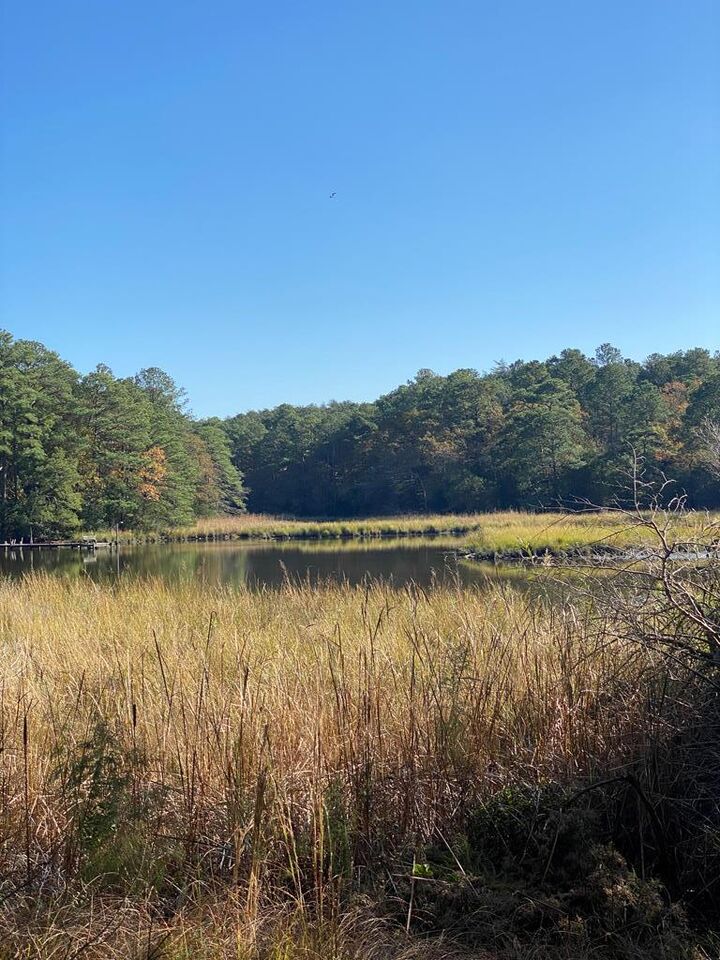 Property Photo:  Lot 2 Terrapin Station Rd  VA 23306 