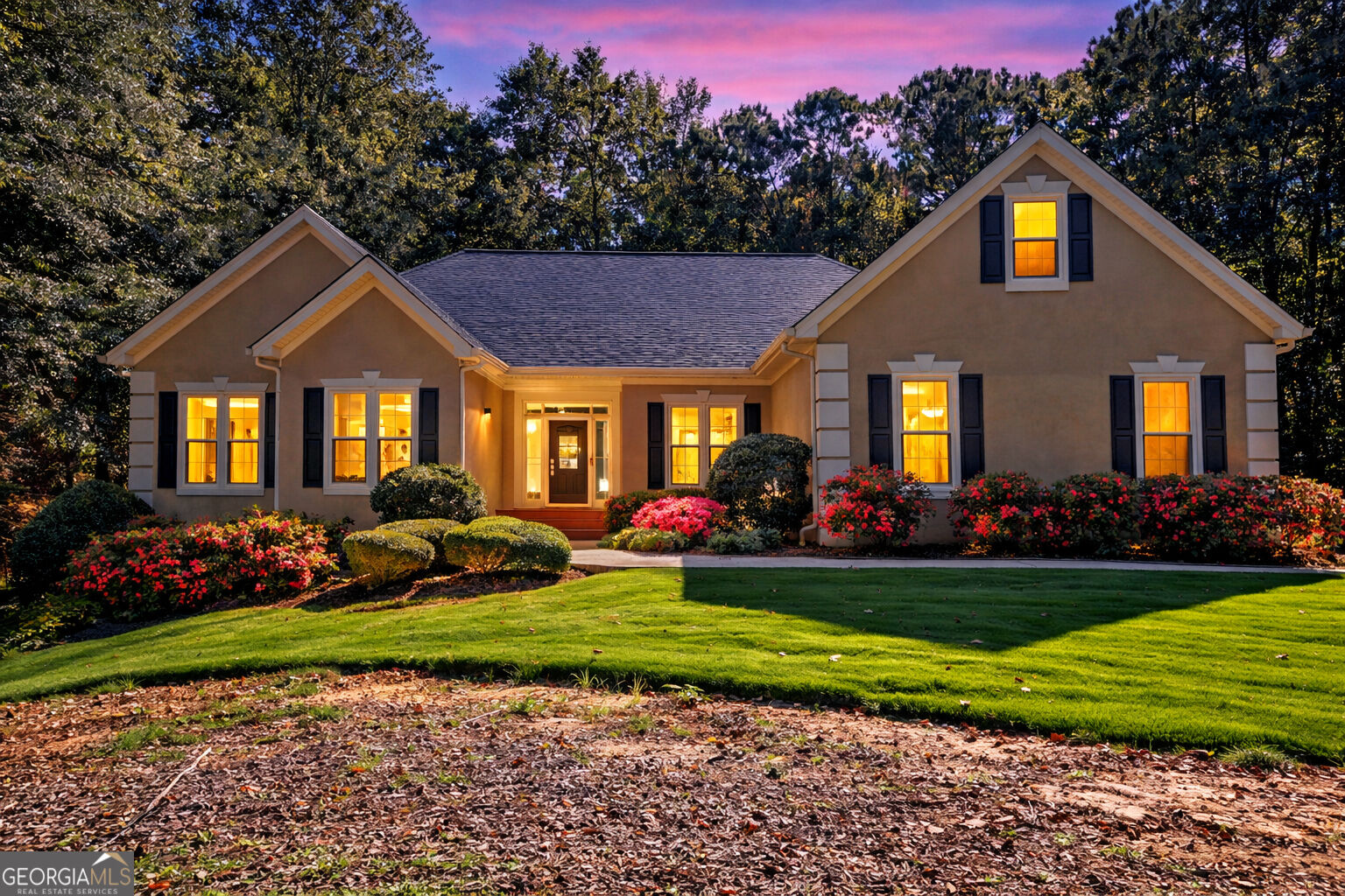 Property Photo:  217 Windermere Circle  GA 30265 