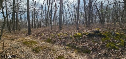 Property Photo:  0 Upper Hibernia Rd  NJ 07866 