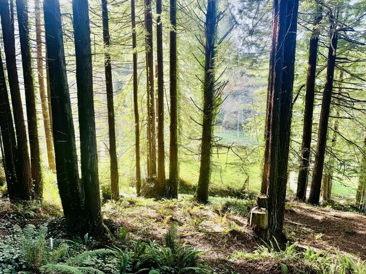 Property Photo:  0 Spears Road  CA 95503 