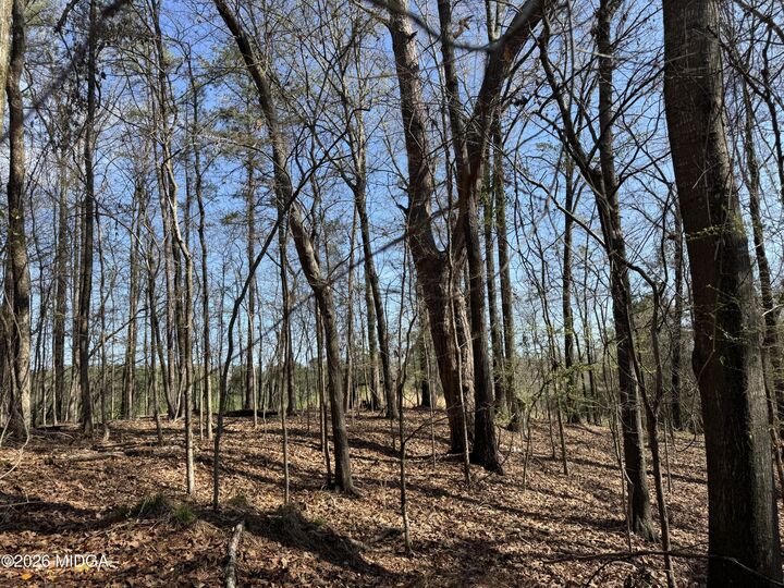 Property Photo: 1972 Wood Valley Road GA 31211