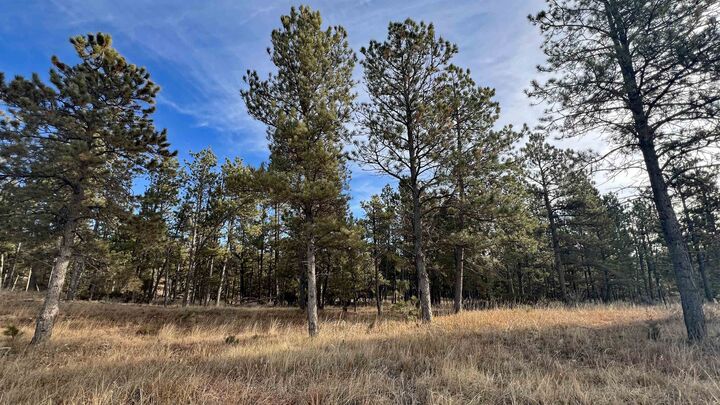 Property Photo: Lot 9 Argyle Road SD 57747