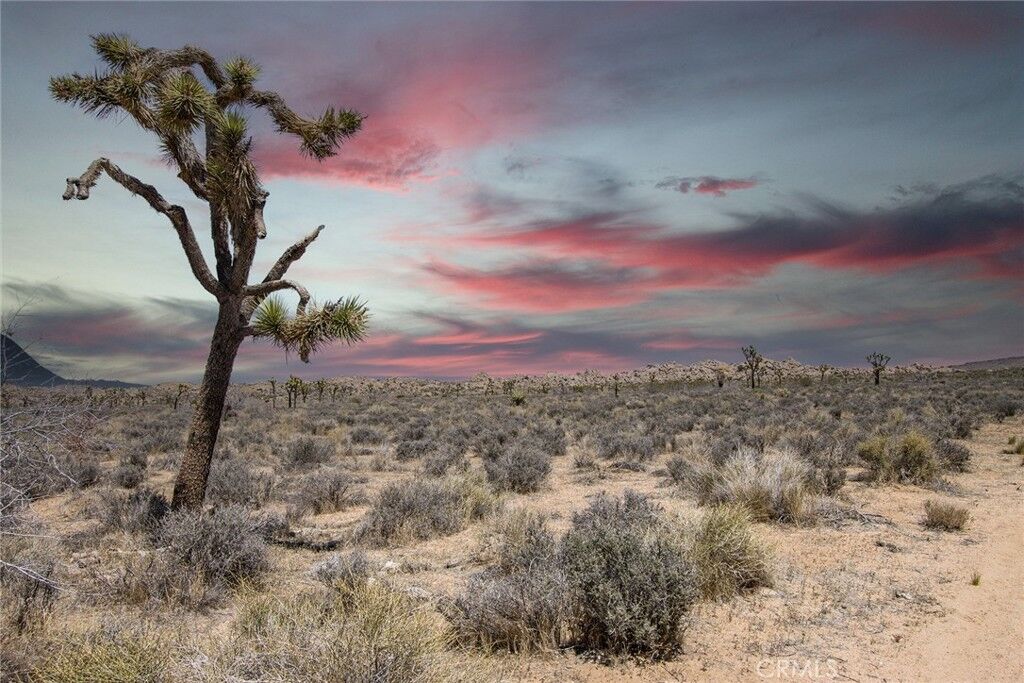 Property Photo:  2800 Balsa  CA 92284 