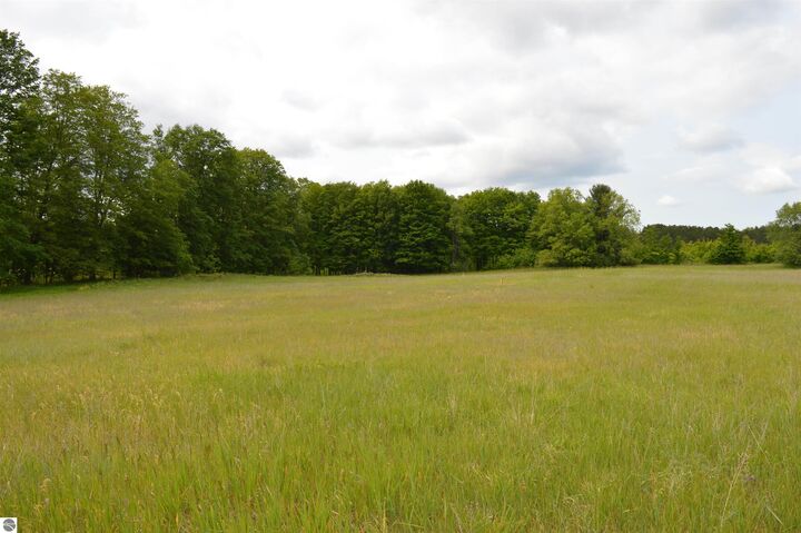 Property Photo:  L Summit City Road  MI 49649 