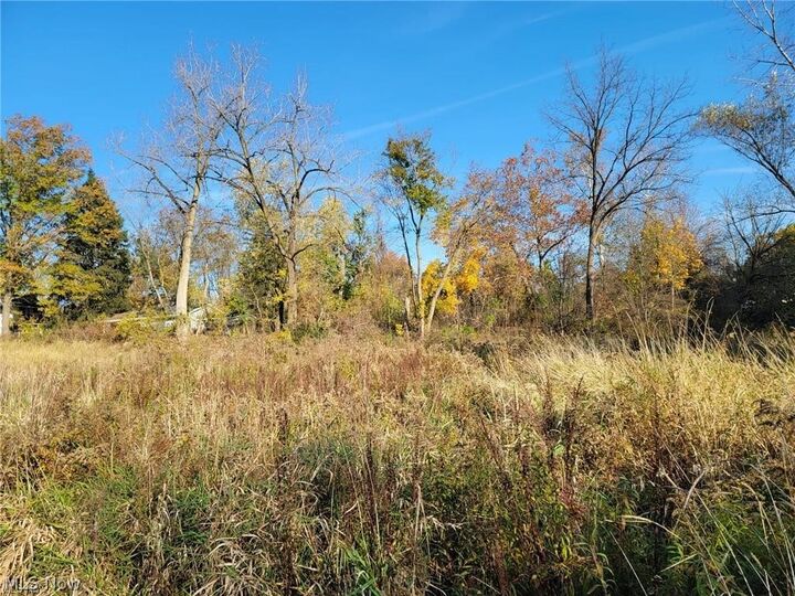 Property Photo: V/L East Avenue OH 44035