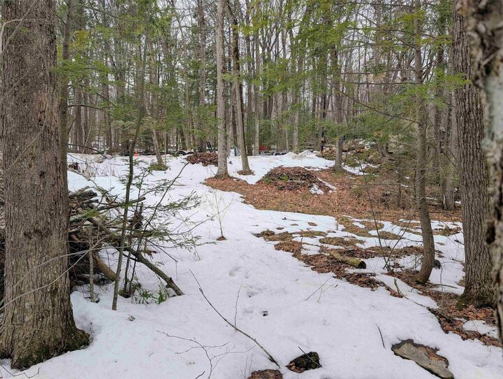 Property Photo:  19 King Arthur Drive  NH 03835 