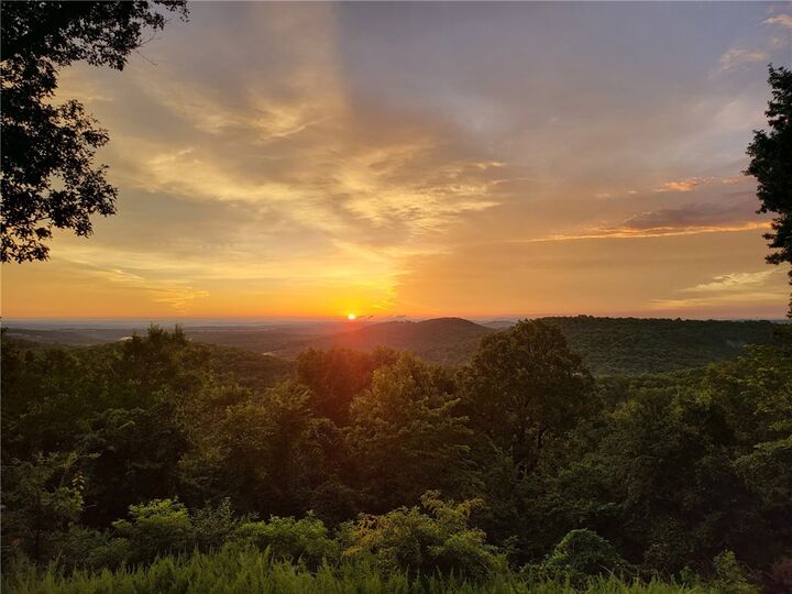 Property Photo:  10974 Ricks Drive  AR 72601 