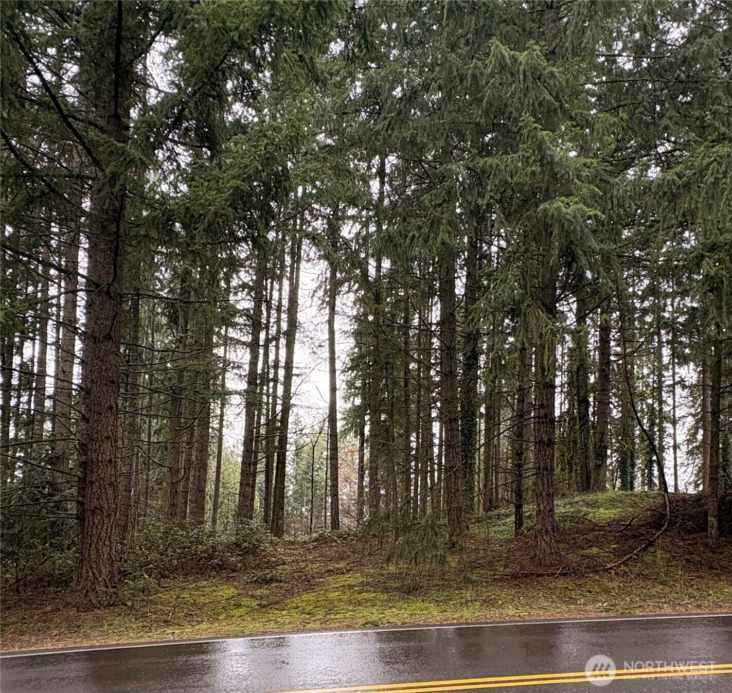 Property Photo:  22020  Clearlake Boulevard SE  WA 98597 