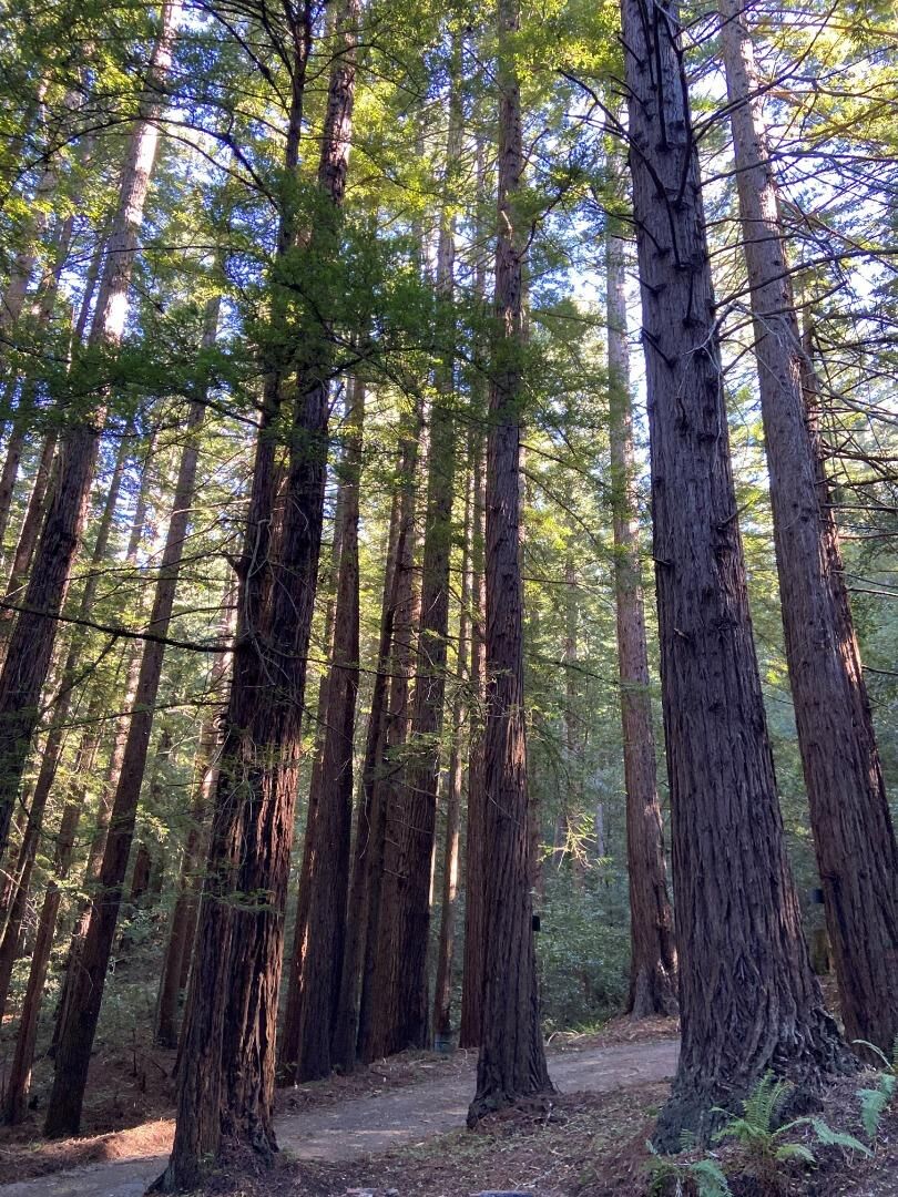 Property Photo: 155 Native Sons Road CA 94062