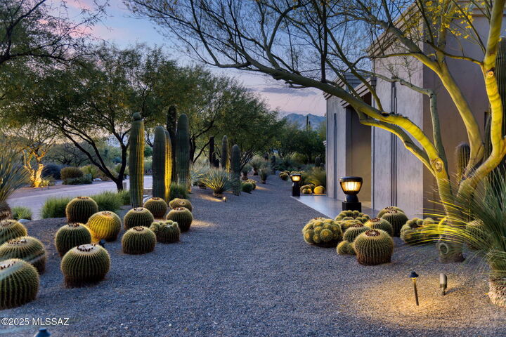 Property Photo:  3978 N Canyon Ranch Drive  AZ 85750 