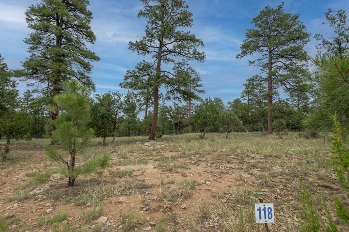 Property Photo: 2961 Eagle Ridge Circle AZ 86024