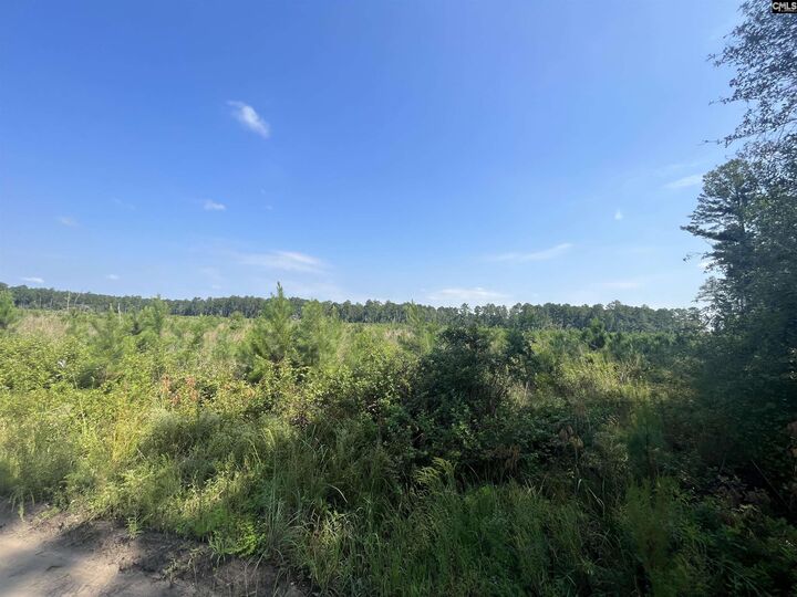 Property Photo:  Mahogany  SC 29115 