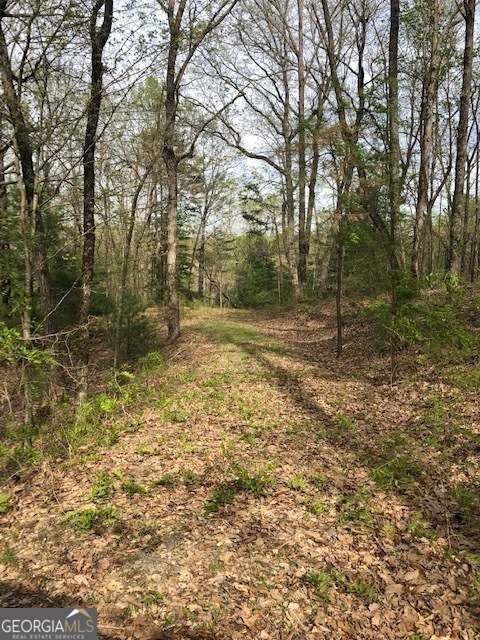 Property Photo: Lt 17B Lakeland Drive GA 30540