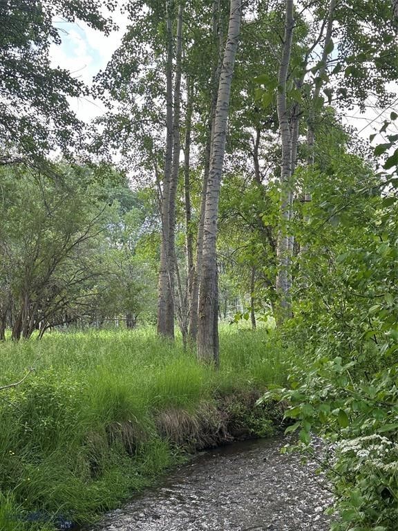 Property Photo:  Tbd Spring Creek Drive  MT 59715 