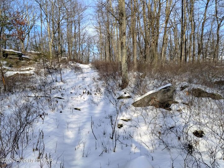 Property Photo:  Wss130 Peace Pipe Drive  PA 18202 