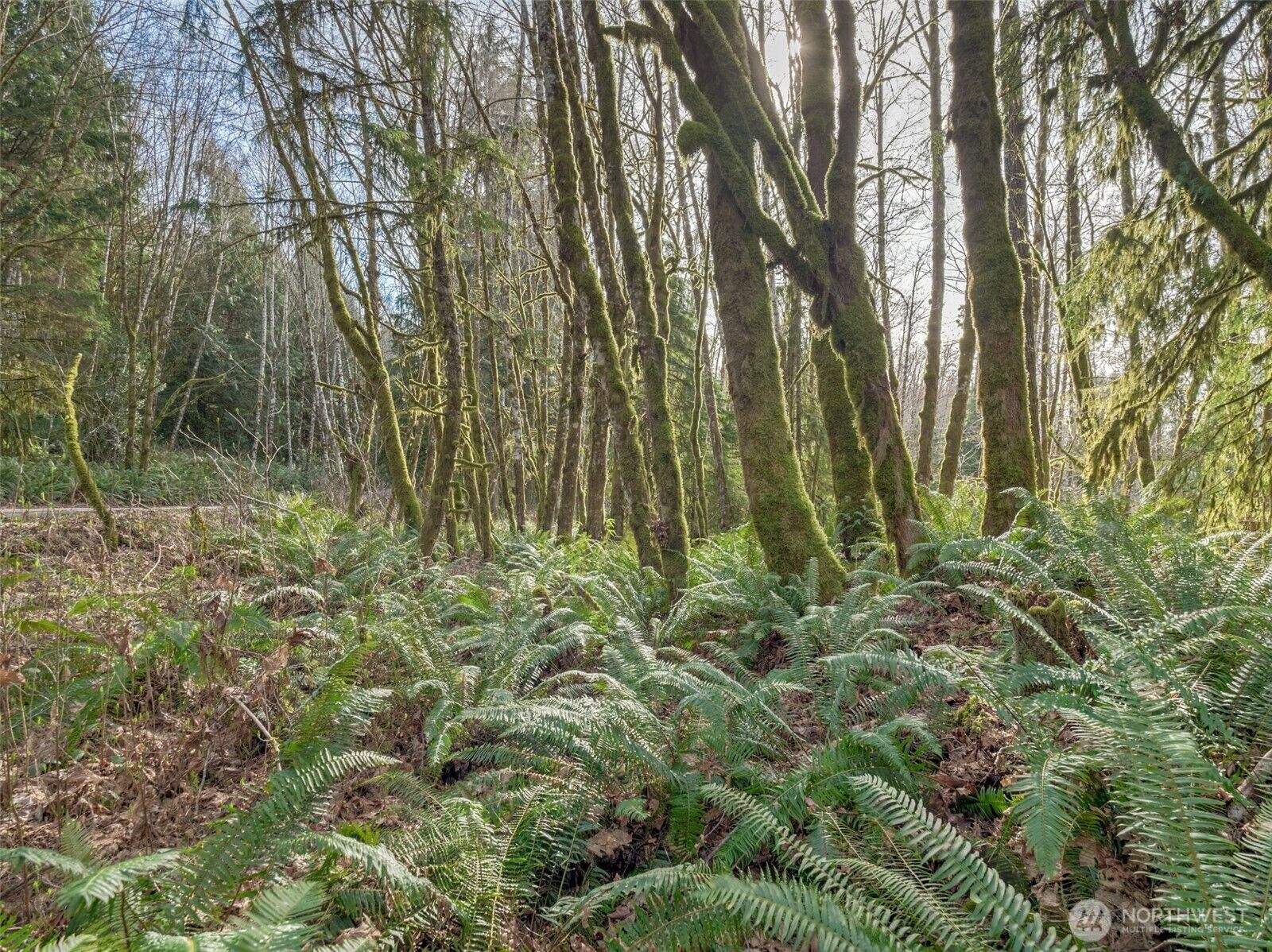 Property Photo:  0 W Belfair Valley Road  WA 98312 
