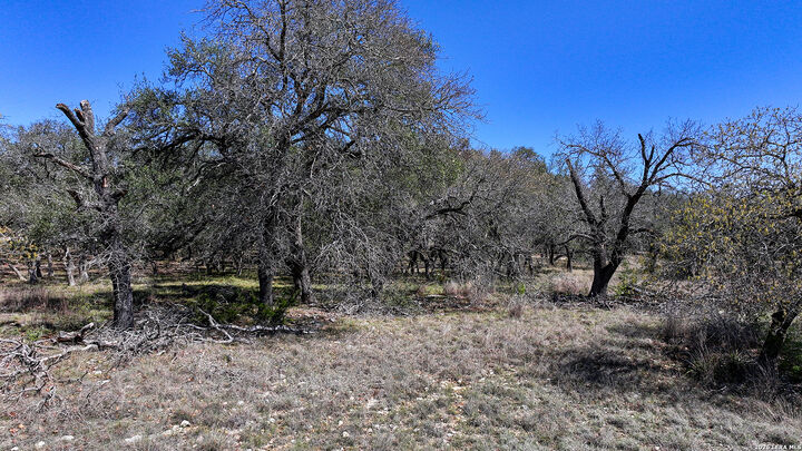 Property Photo:  34776 High Gate  TX 78163 