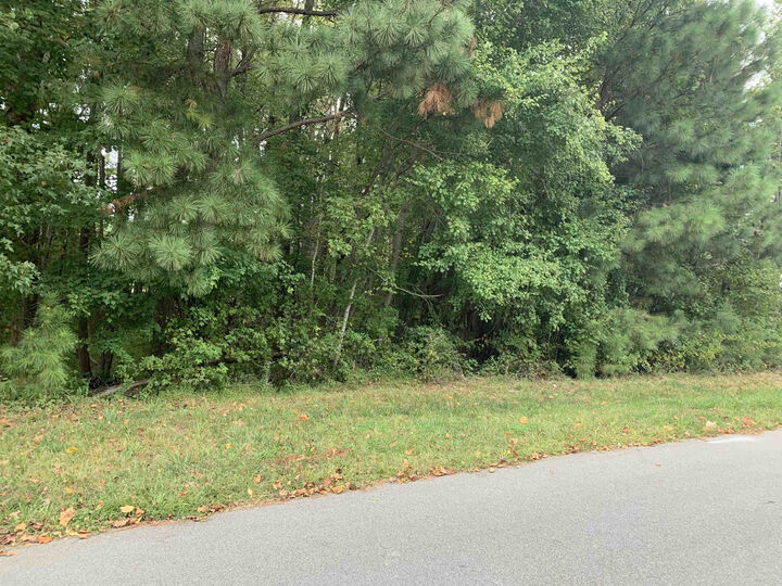 Property Photo:  4553 Ashley View Lane  NC 27565 