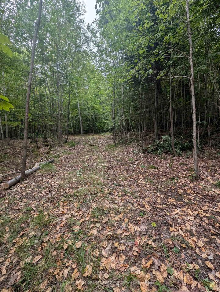 Property Photo:  00 Kamaniskeg Lake Road  ON K0J 1L0 