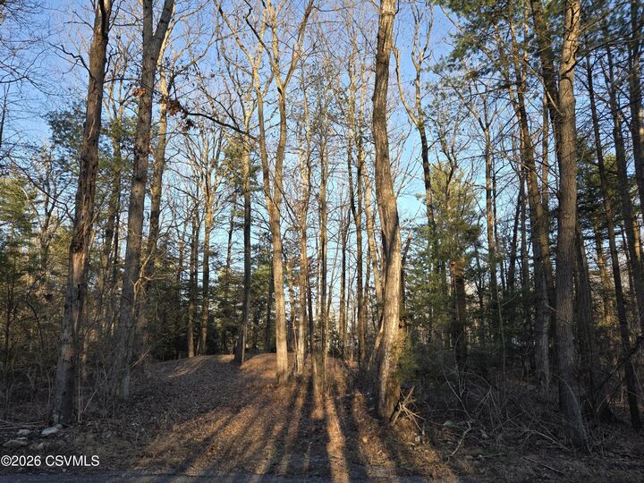 Property Photo:  Lot 4 Diehl Road  PA 17844 