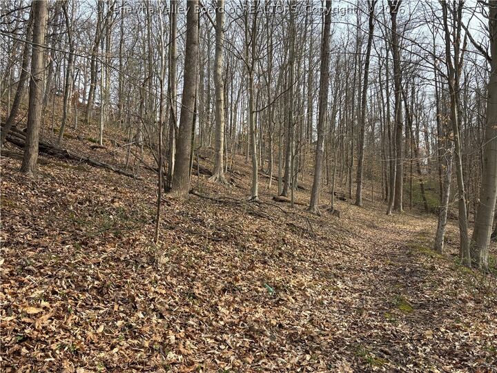 Property Photo: 0 A Stones Throw 25 WV 25177