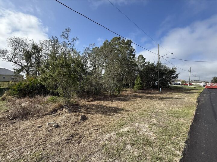 Property Photo:  214 Elm Court  FL 34759 