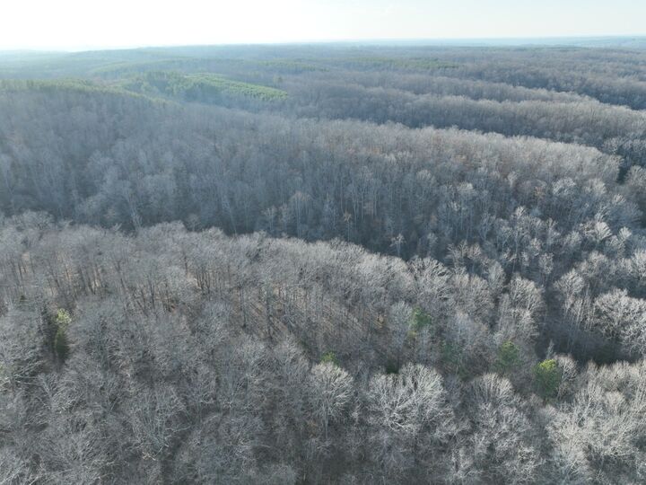 Property Photo: 1356 Upper Standing Rock Rd TN 37058