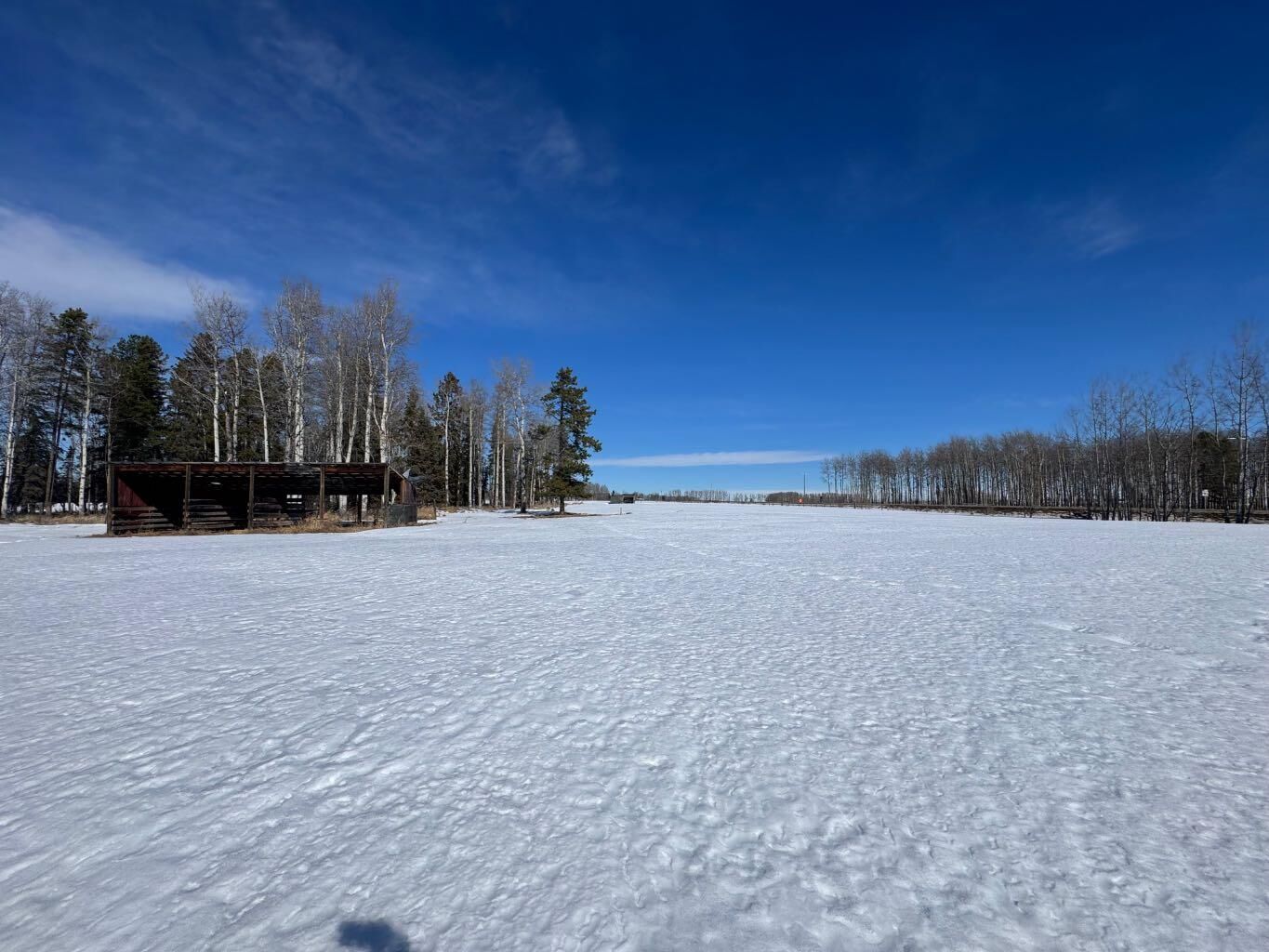 Property Photo: 414006 Range Road 6-3 AB T4T 2A1