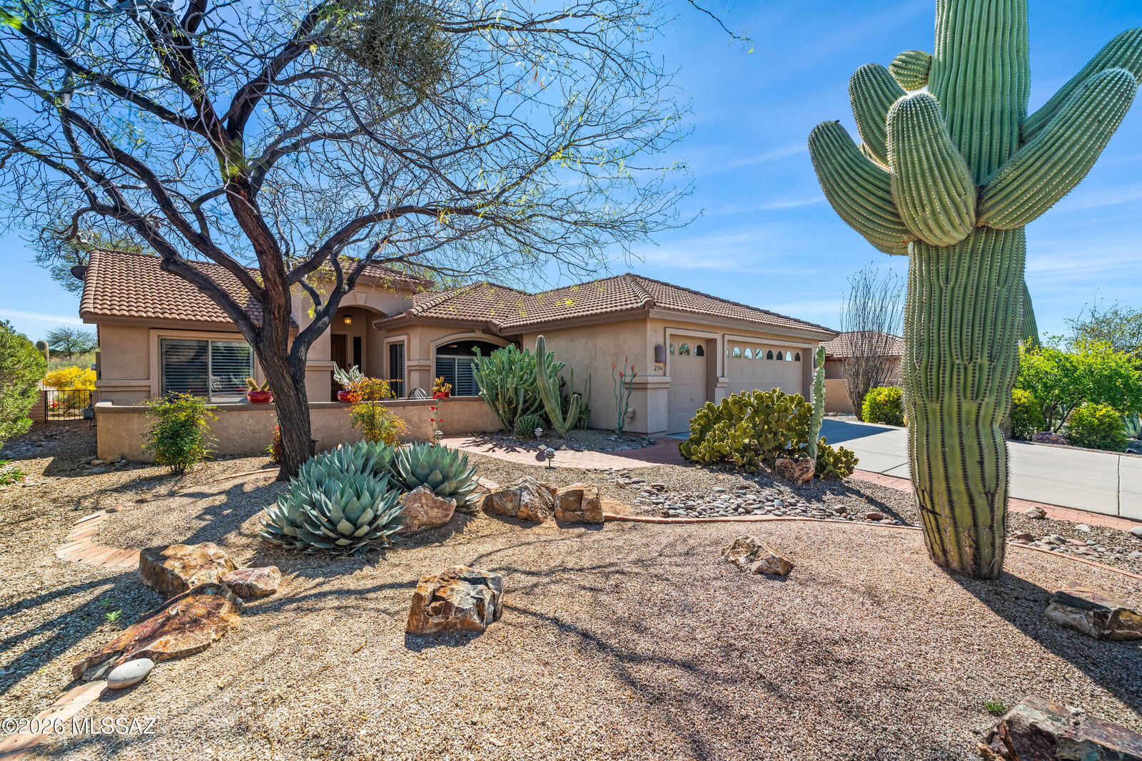Property Photo:  2394 E Bonita Canyon Drive  AZ 85614 