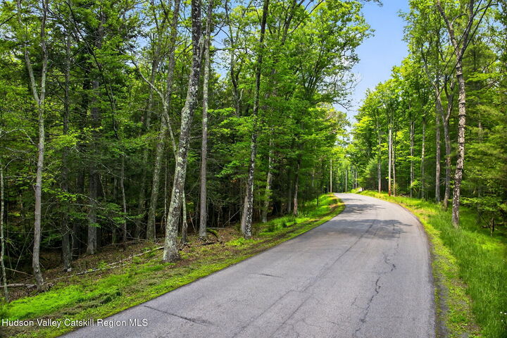 Property Photo:  Tbd Dug Hill  NY 12443 