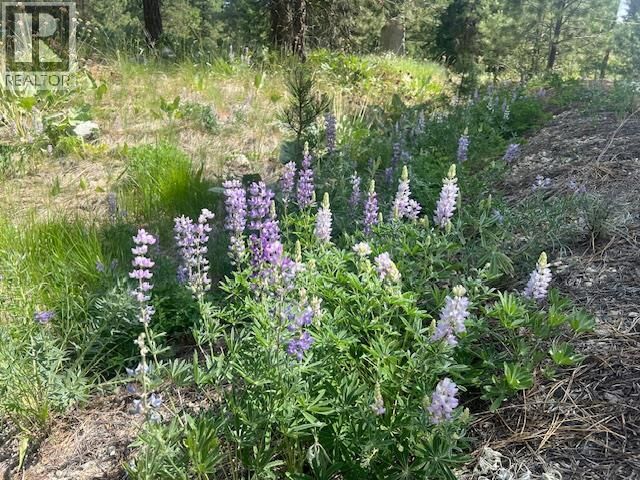 Property Photo:  240 Sasquatch Trail  BC V0H 1V6 
